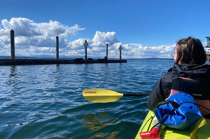 2 Hour Sound Tour - What the tour feels like day-to-day: drifting, paddling, and pace control