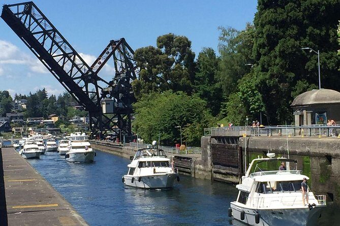 3 Hour Show Me Seattle Best Of The City Tour - Ballard Locks (Hiram M. Chittenden Locks): Salmon, Fish Ladder, and Living Nature