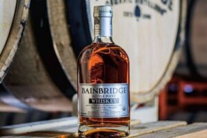 Bainbridge Island Discovery and Whiskey tasting Tour - Rockaway Beach: Seattle’s skyline, with room to breathe