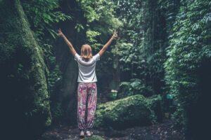 Bainbridge Island Serenity Forest Hike & Cultural Landmarks Tour - Start at the Bainbridge Ferry Dock and Plan Your Timing