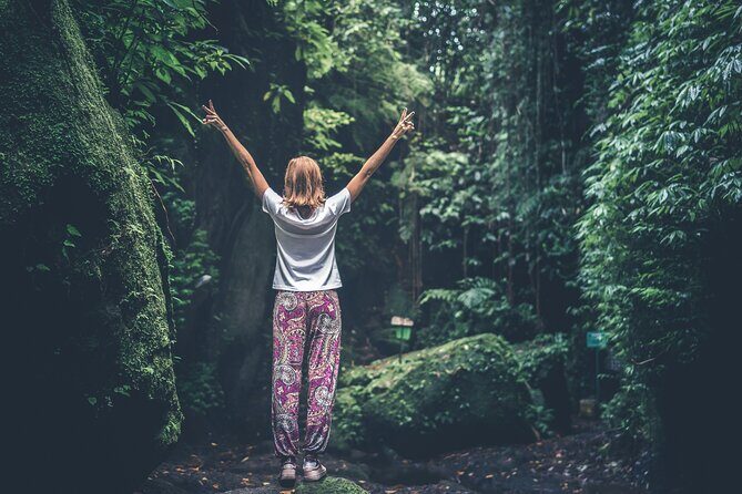 Bainbridge Island Serenity Forest Hike & Cultural Landmarks Tour - Start at the Bainbridge Ferry Dock and Plan Your Timing
