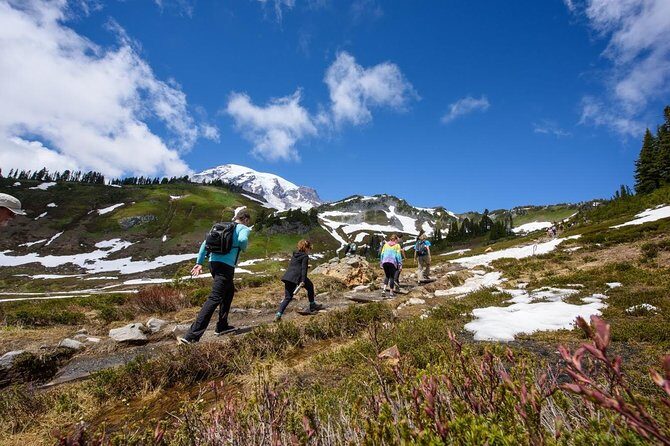 Best of Mount Rainier National Park from Seattle: All-Inclusive Small-Group Tour - Quick viewpoint wins: Christine Falls and Narada Falls