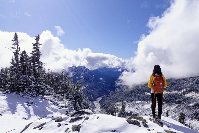 Best of Mount Rainier National Park from Seattle: All-Inclusive Small-Group Tour - Paradise Valley: berries in summer, snowshoe time in winter