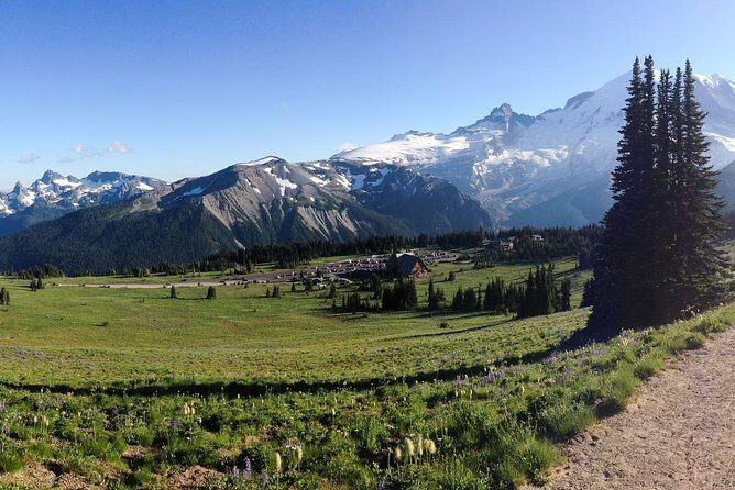 Best of Mount Rainier National Park from Seattle: All-Inclusive Small-Group Tour - Longmire Museum, Trail of the Shadows, and Twin Firs
