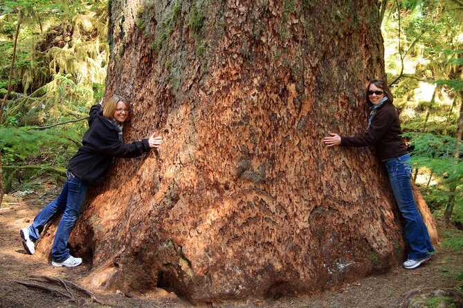 Best of Olympic National Park from Seattle: All-Inclusive Small-Group Day Tour - Seattle Morning to Bainbridge Ferry: The Day Starts Moving