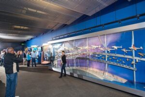 Boeing Factory Tour with Private Group Transport from Seattle - Future of Flight Aviation Center: hands-on exhibits before you step into production