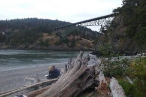 Deception Pass Bridge Island Tour from Seattle - Deception Pass State Park: Tides, Bridge Views, and Quick Photo Stops