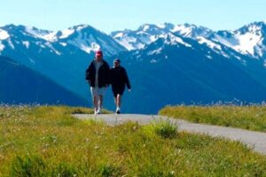 Explore Olympic National Park from Seattle through Van /Ferry - Hurricane Ridge and the “mountain layer” effect