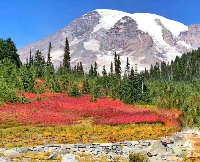 From Seattle: Mount Rainier National Park 1-Day Tour - Key things that make this tour worth your time