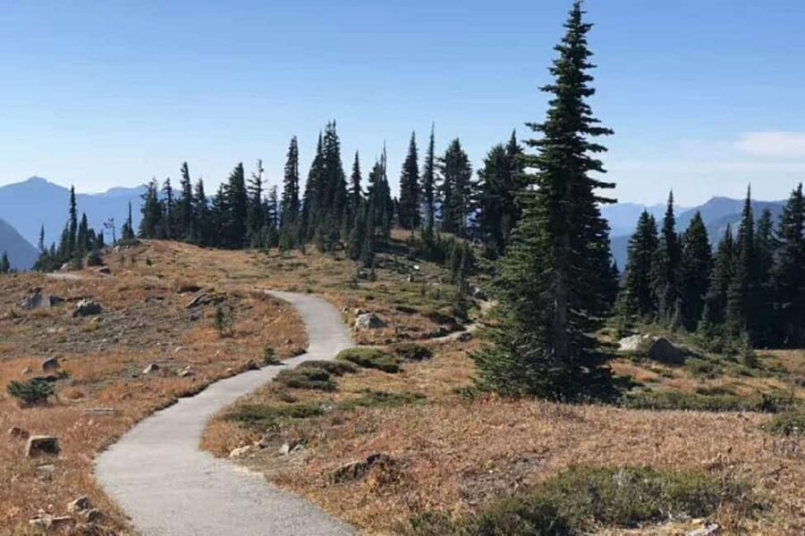 From Seattle: Mount Rainier National Park 1-Day Tour - Winter route: Wonderland Trail time and the reality of snow