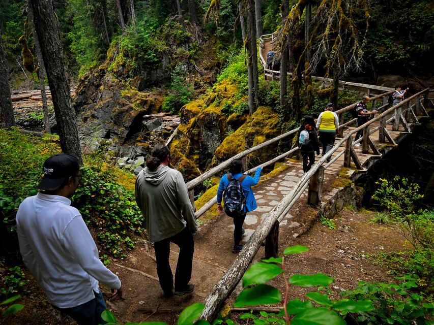 From Seattle: Mount Rainier National Park Guided Tour - Why the Seattle-to-Rainier plan is so smart