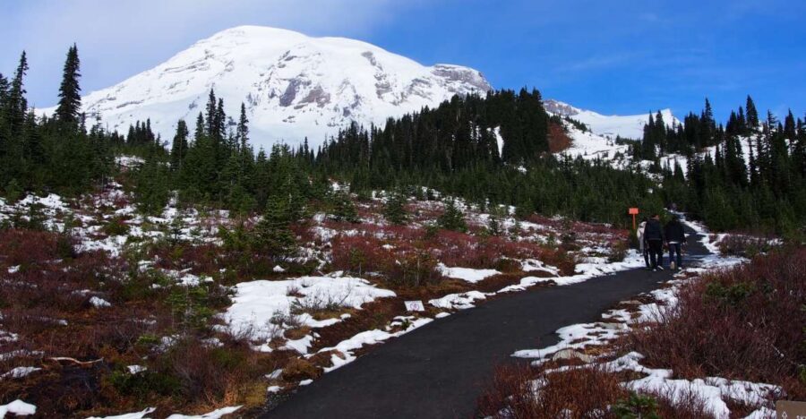 From Seattle: Mount Rainier National Park Guided Tour - Paradise Visitor Center: where the learning is actually useful