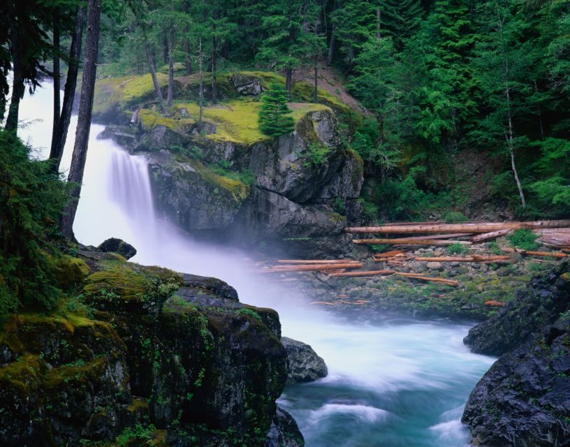 From Seattle: Mount Rainier National Park Guided Tour - The pacing: photo stops, mini hikes, and “Ranger Stops”