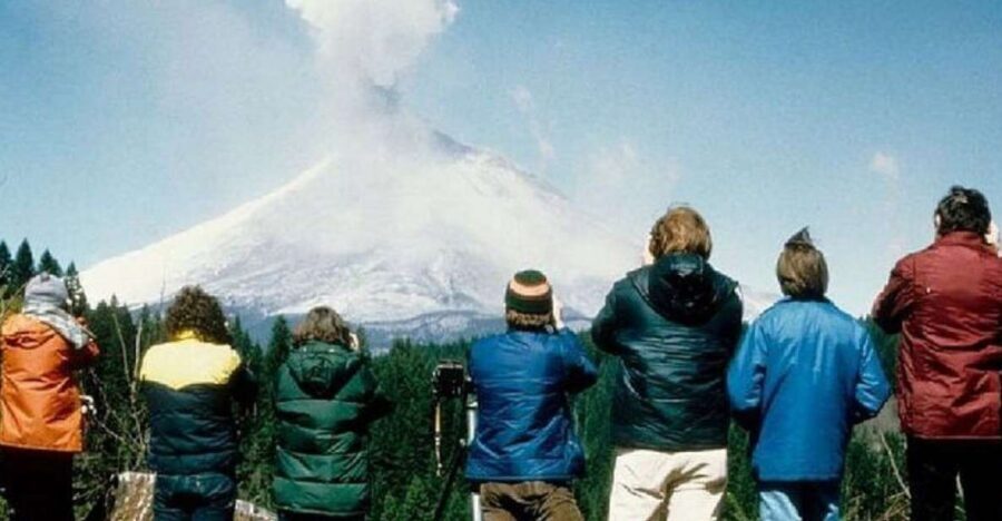 From Seattle: Mt Saint Helen Tour - Mt. St. Helens viewpoints and reforestation: what you should actually watch for