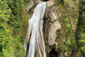 From Seattle: Pacific Northwest Waterfalls & Hiking Tour - The 415 Pine St pickup: the easiest part of your day