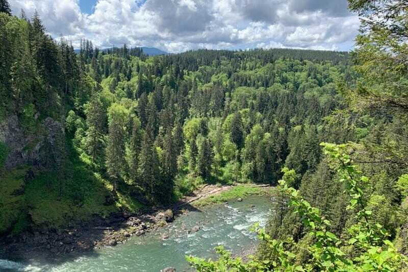 From Seattle: Pacific Northwest Waterfalls & Hiking Tour - Price and value: what $79 buys in real time