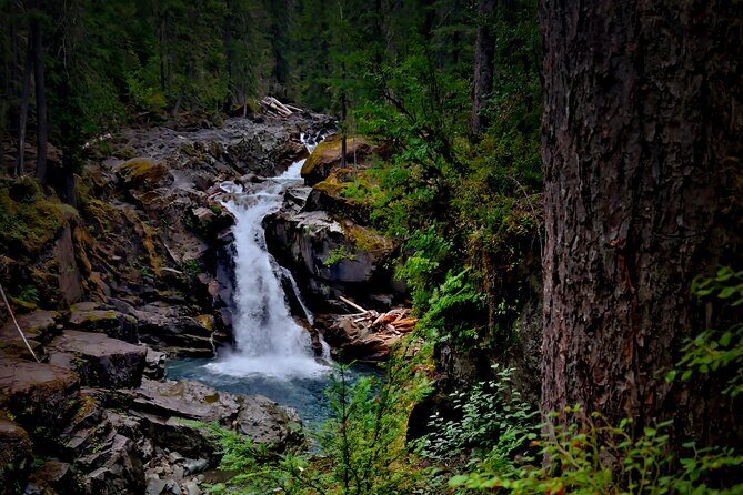 From Seattle: Private Tour to Mt. Rainier - Inside Mount Rainier: 5–6 Hours Where You Set the Tone