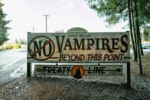 From Seattle: Twilight Forks Washington Tour - Seattle pickup and the Bainbridge crossing: the start that sets the tone