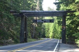 Full-Day Mt Rainier National Park Private Tour in SUV - Narada Falls: the quick stop that delivers a classic Mount Rainier moment