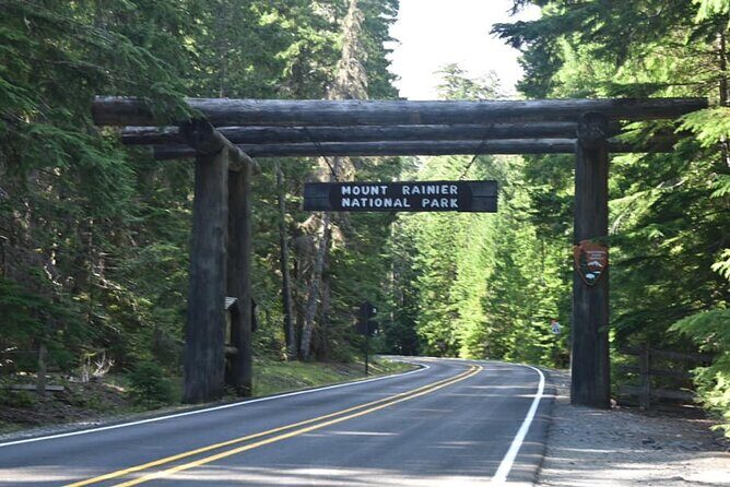 Full-Day Mt Rainier National Park Private Tour in SUV - Narada Falls: the quick stop that delivers a classic Mount Rainier moment