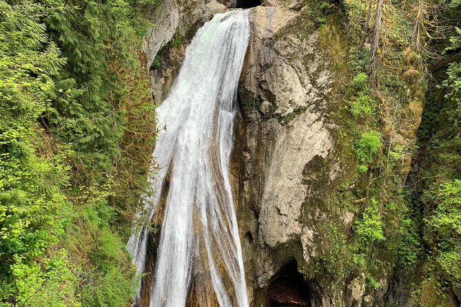 Guided forest hike to Seattle waterfalls incl. Snoqualmie Falls - Lake Washington and photo breaks that make the drive matter