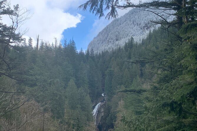 Guided forest hike to Seattle waterfalls incl. Snoqualmie Falls - Comfort, group size, and the pace reality check