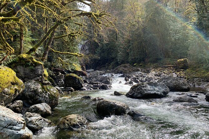 Guided forest hike to Seattle waterfalls incl. Snoqualmie Falls - Price and value: is $79 worth it?