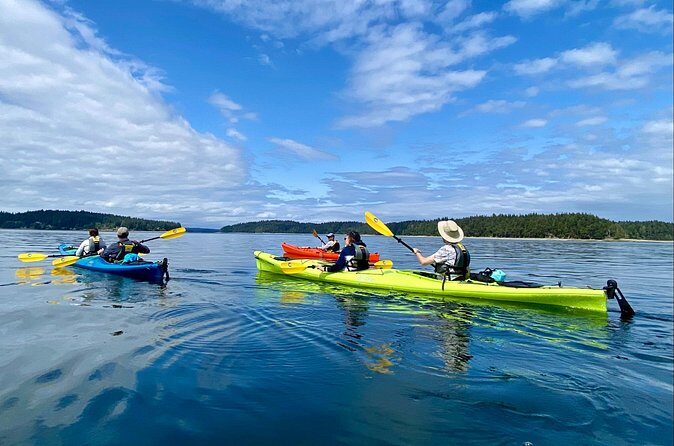 Guided Kayak Tour To Hope Island State Park - Stop Time on Hope Island: Trails, Old-Growth, and Fruit Tree Picnic Vibes