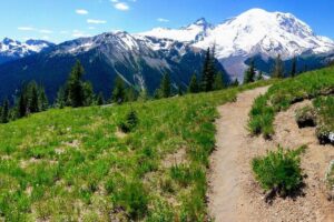 Hike Mt. Rainier & Taste Yakima Valley Wine: All-Inclusive Day Tour from Seattle - The First Stop: Bigfoot Scouting and a Quick Reset