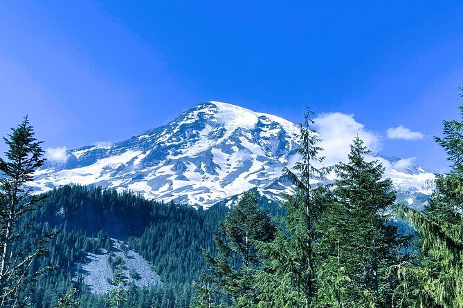 Mount Rainier Customized Tour from Seattle - Longmire and the visitor center museum option