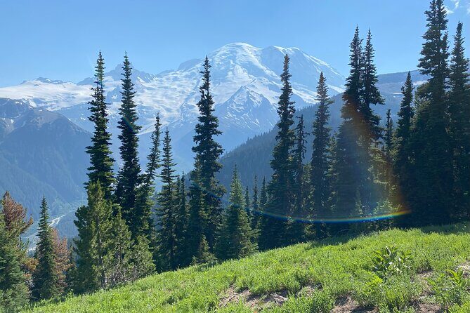Mount Rainier Day Hike - Private pickup from Seattle or SeaTac: less stress, more trail time