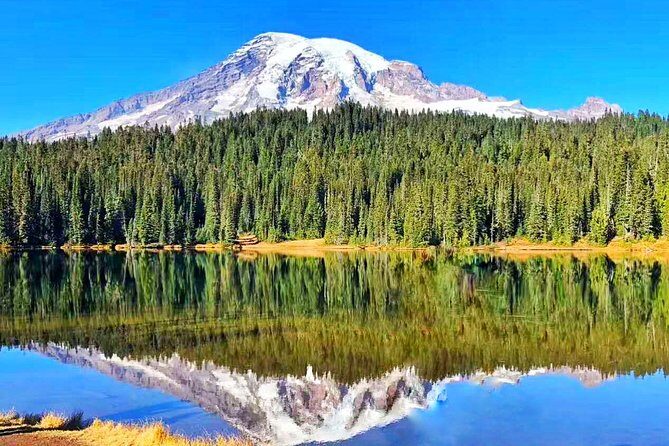 Mount Rainier National Park Day Tour from Seattle - A car-free day out of Seattle that still feels like a real Rainier trip