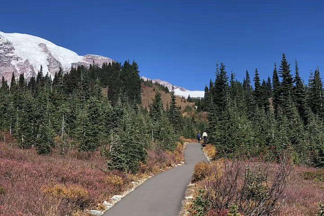 Mount Rainier National Park Day Tour from Seattle - Morning pickup in Seattle: plan for a staggered departure
