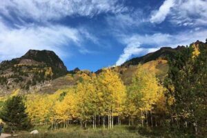 Mount Rainier National Park Day Tour from Seattle - Mount Rainier facts you’ll actually care about on the drive
