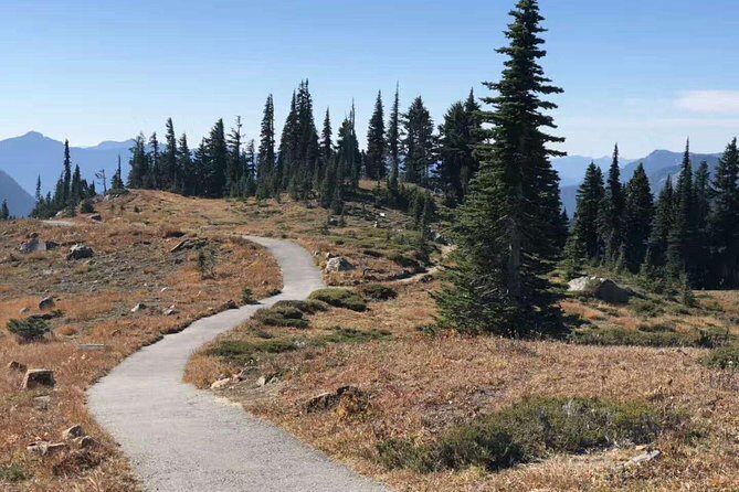 Mount Rainier National Park Day Tour from Seattle - Christine Falls and Narada Falls: quick roadside payoff (with an uphill reminder)