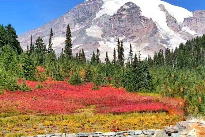 Mount Rainier National Park Day Tour from Seattle - Paradise Visitor Center and the Paradise Loop: where the day usually peaks