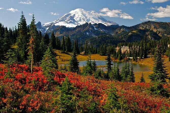 Mt. Rainier Day Tour from Seattle - Key things that make this tour worth your time