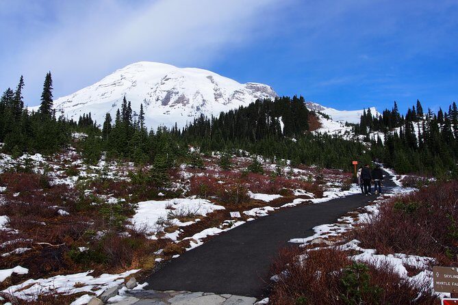 Mt. Rainier Day Tour from Seattle - The Paradise Question: How Weather and Road Access Change the Day