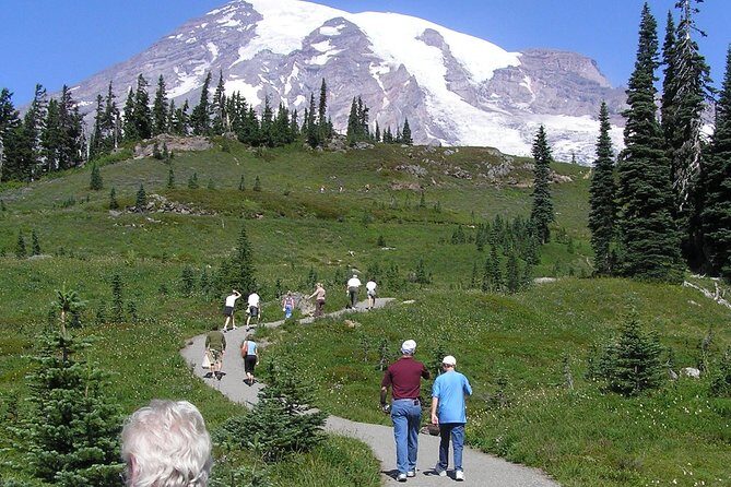Mt. Rainier Day Tour from Seattle - Twin Firs Loop Trail and Snowshoes: What You’ll Do Once Roads Slow Down