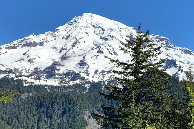 Mt. Rainier highlights - old forest, falls and glaciers - Longmire: Old-Growth Forest Without the Crowds-Only Feel