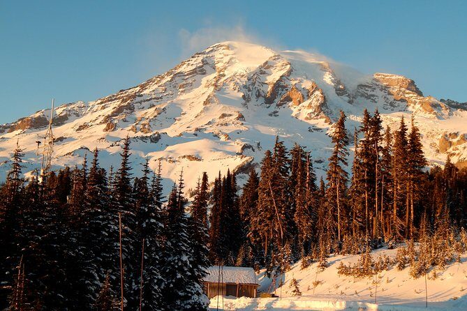 Mt. Rainier National Park Highlights Tour - Key highlights to know before you go