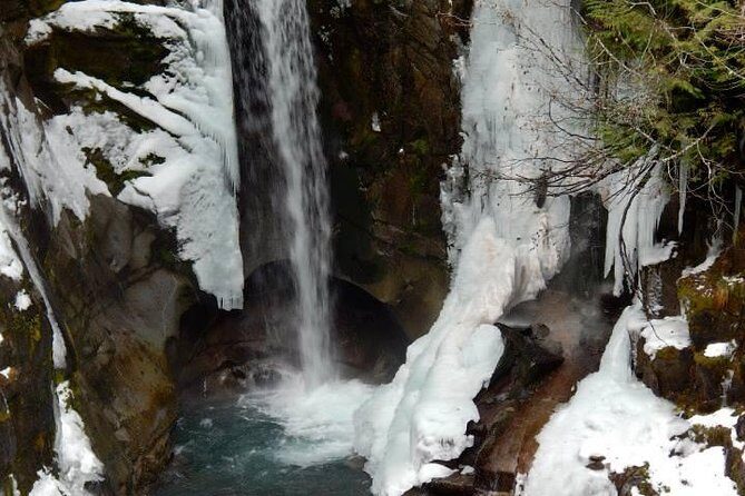 Mt. Rainier National Park Highlights Tour - Seattle pickup and the 7:20 am reality check