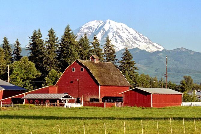 Mt. Rainier National Park Highlights Tour - The Trail of the Shadows: a small hike with big meaning
