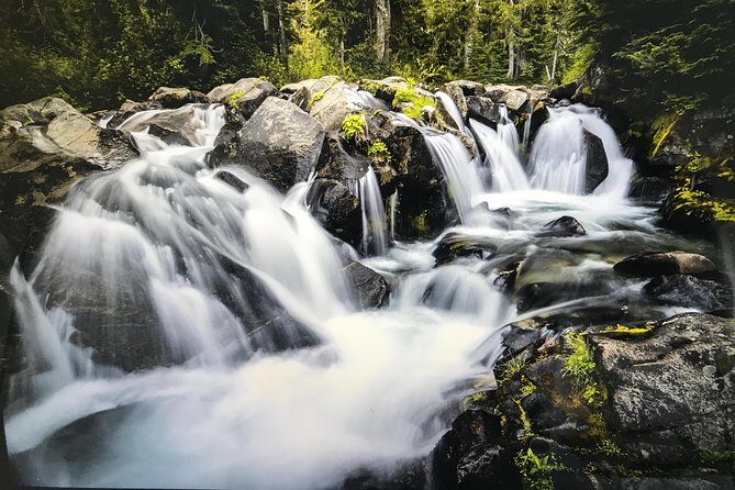 Mt. Rainier National Park Highlights Tour - Longmire village area: viewpoints and quick rest breaks