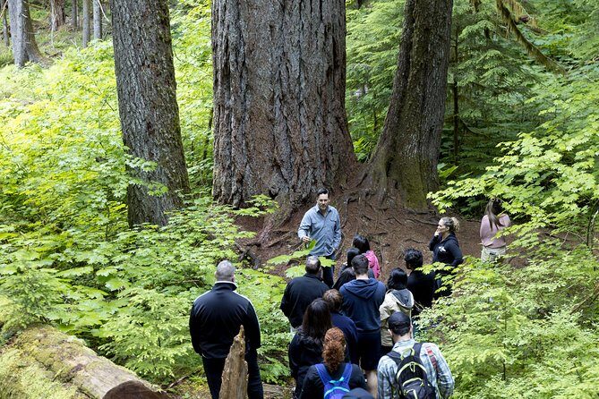 Mt. Rainier National Park Highlights Tour - Christine Falls and Narada Falls: the two waterfall experiences that bookends your day