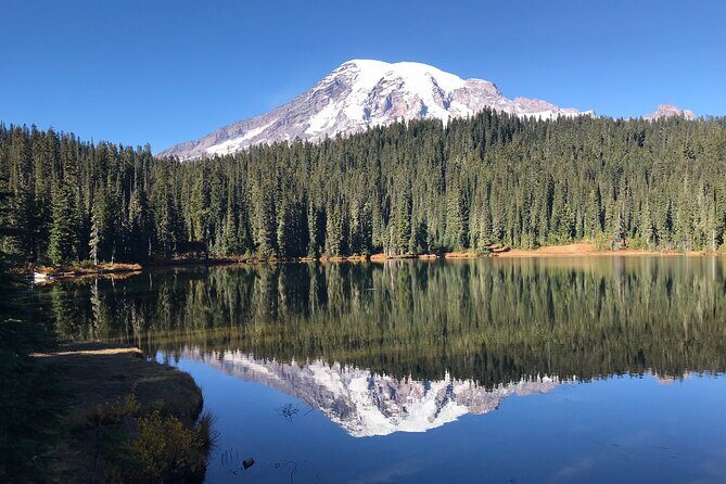 Mt. Rainier National Park Highlights Tour - Paradise Valley at 5,400 feet: this is the payoff (when access allows)