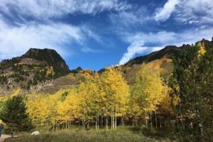 Mt Rainier National Park Small Group Day Tour from Seattle 2CanGo - Pickup details: where to meet and why timing matters