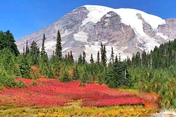 Mt Rainier National Park Small Group Day Tour from Seattle 2CanGo - Reflection Lakes: when calm weather turns it into a mirror
