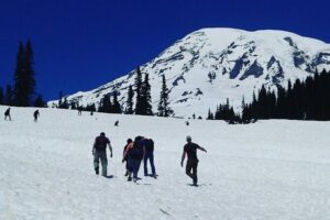 Mt Rainier Private Tour Experience in SUV - Paradise Stop: Where You’ll Spend Most of Your Time