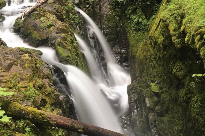 Olympic National Park Day Tour from Seattle - Key things I’d plan around before you go